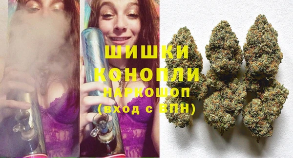шишки Алексин