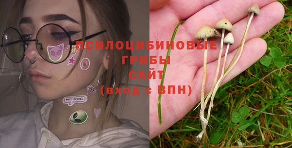 шишки Алексин