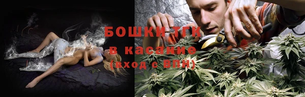 шишки Алексин